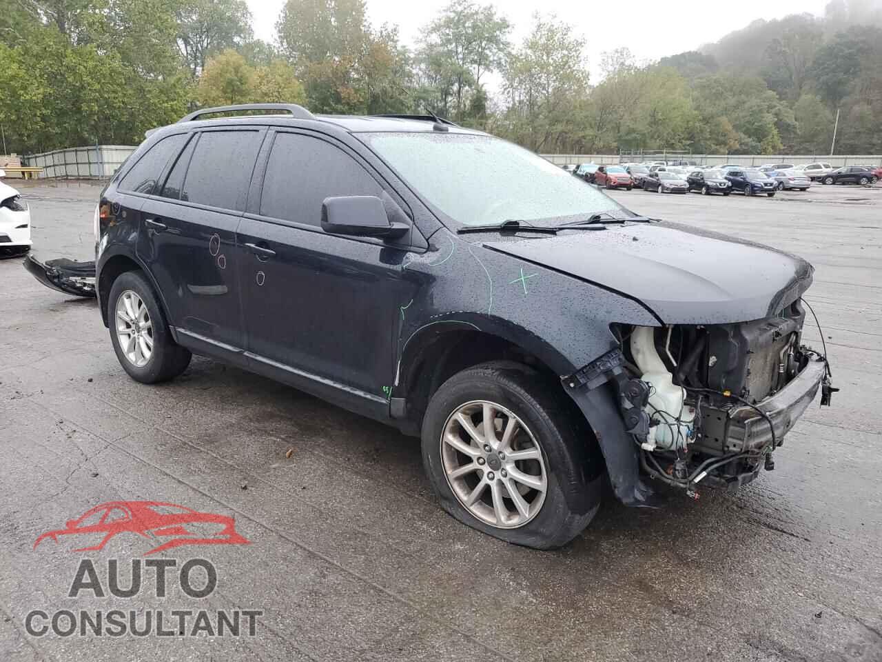 FORD EDGE 2009 - 2FMDK48C59BA86561
