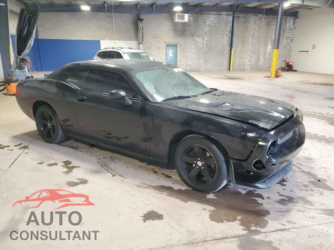 DODGE CHALLENGER 2013 - 2C3CDYAG5DH725000