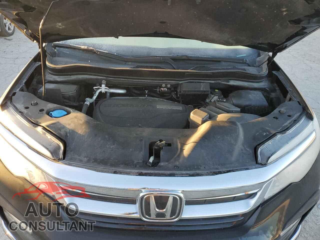 HONDA PILOT 2019 - 5FNYF6H07KB086243