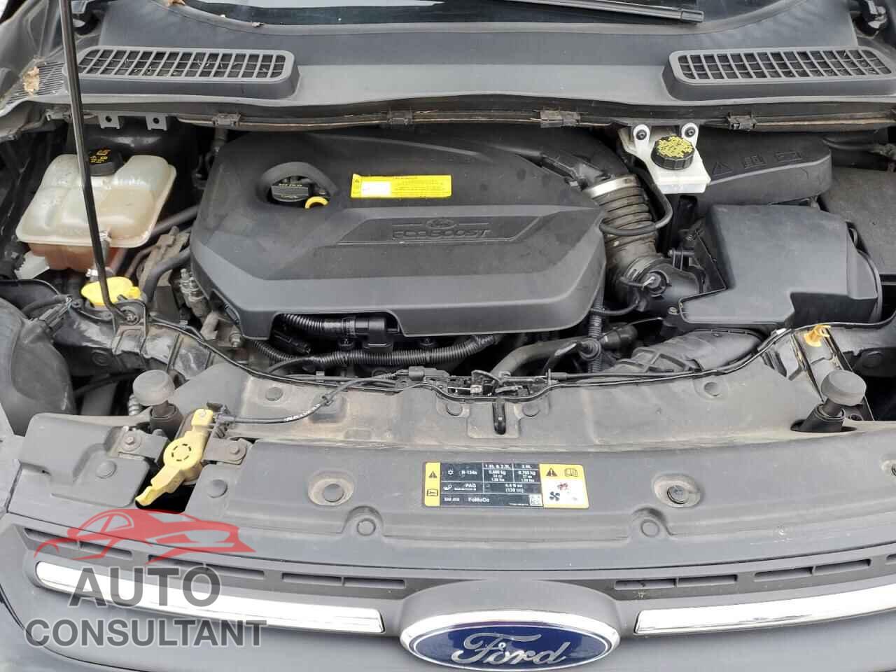 FORD ESCAPE 2016 - 1FMCU9GX5GUB85461