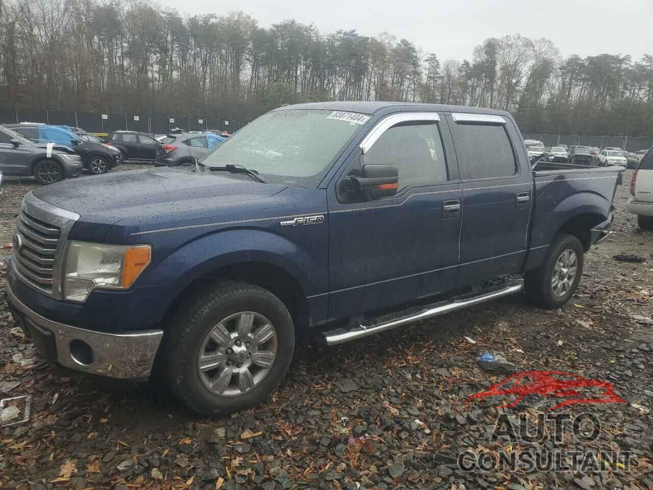 FORD F-150 2010 - 1FTEW1C88AFD08611