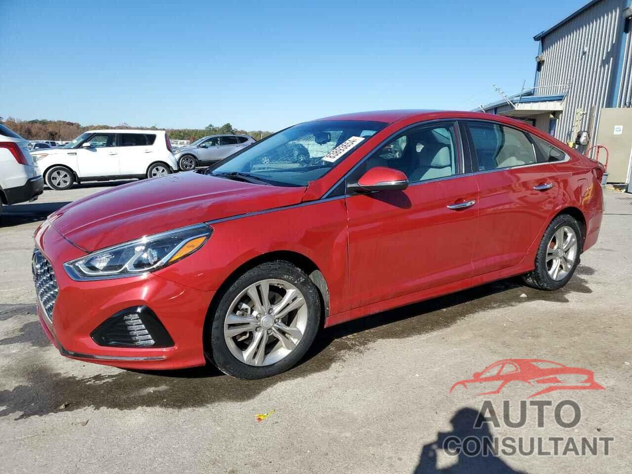 HYUNDAI SONATA 2019 - 5NPE34AF1KH821072