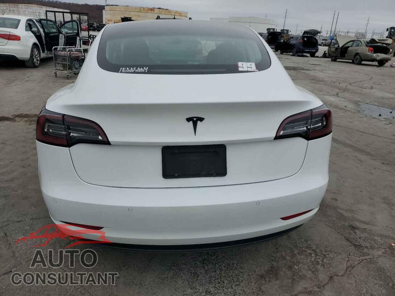 TESLA MODEL 3 2019 - 5YJ3E1EA8KF483053