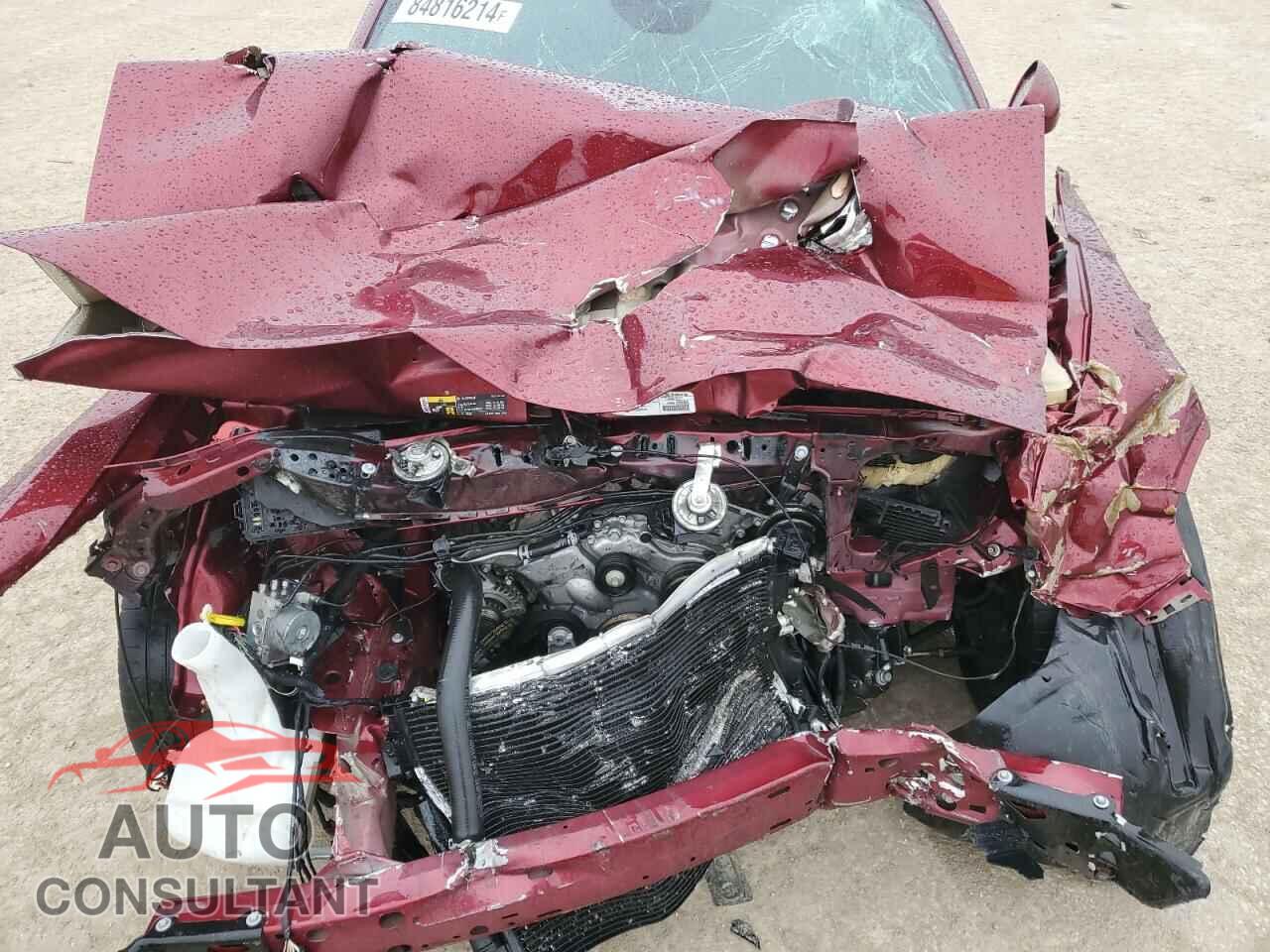 DODGE CHALLENGER 2019 - 2C3CDZAG2KH649898