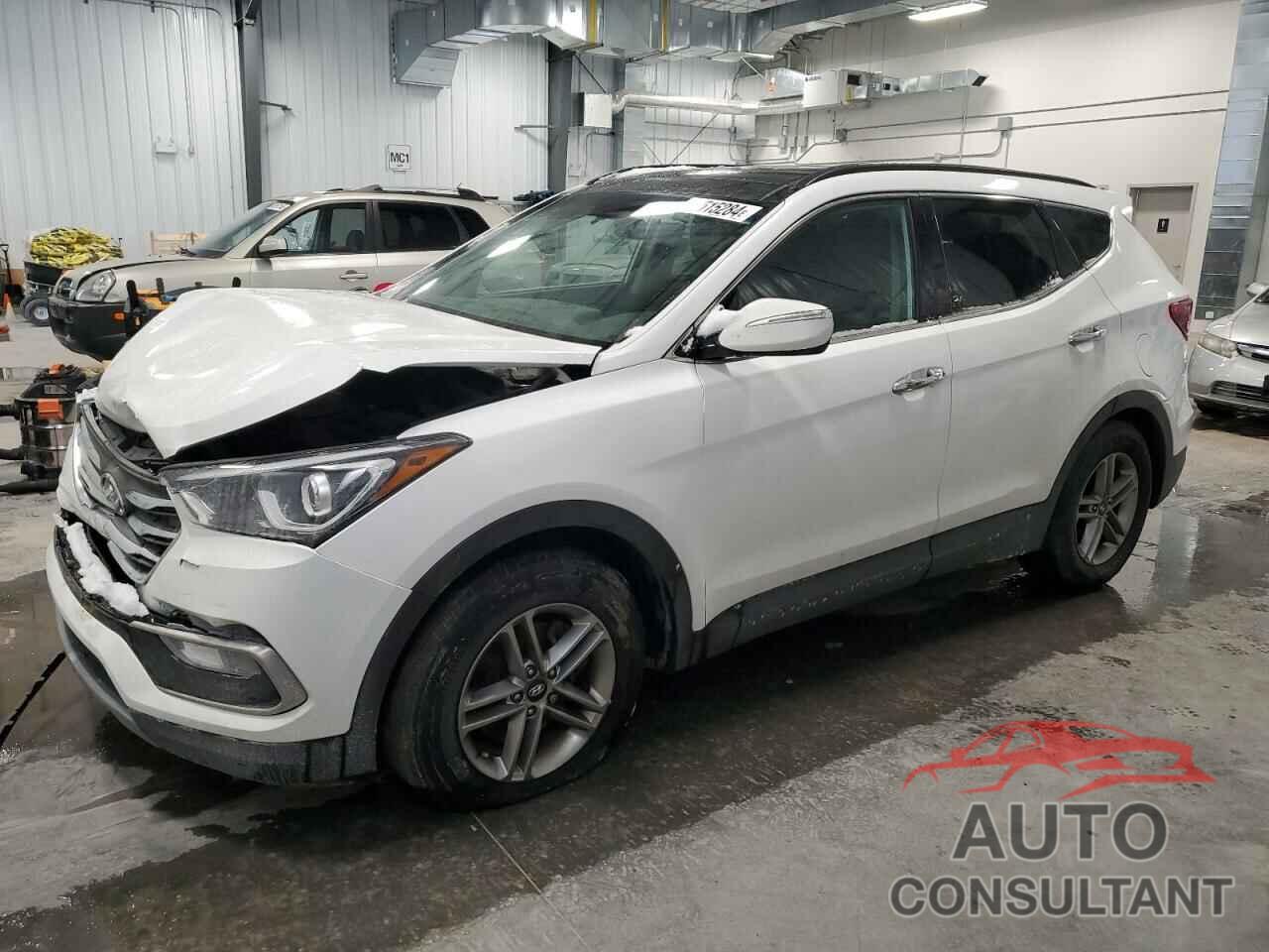 HYUNDAI SANTA FE 2017 - 5NMZUDLB9HH050603