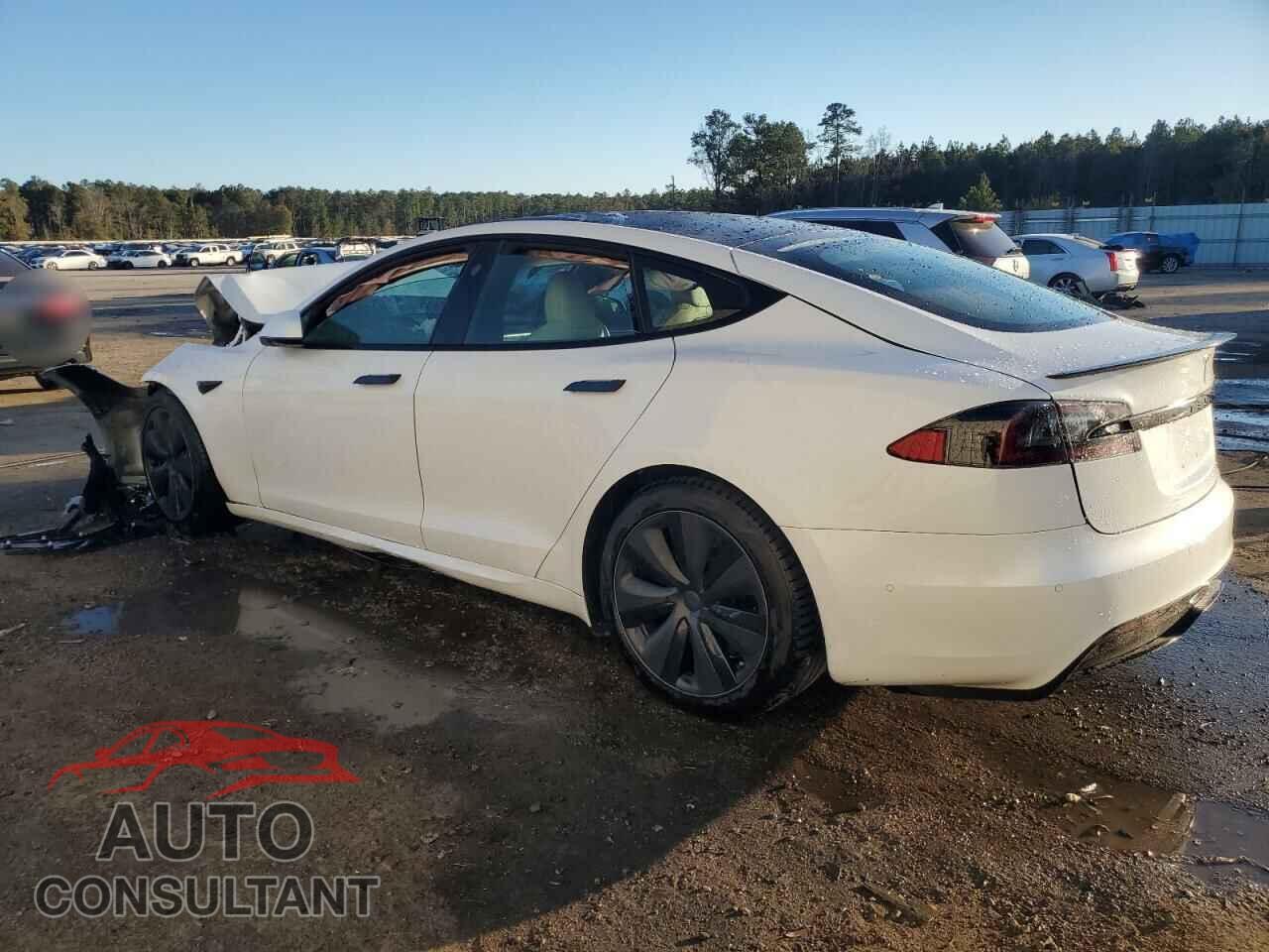 TESLA MODEL S 2021 - 5YJSA1E60MF439151