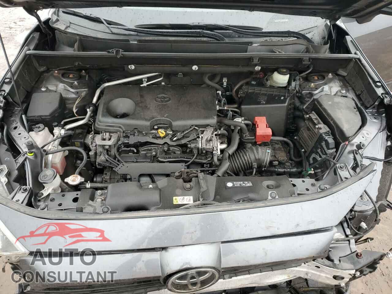 TOYOTA RAV4 2019 - JTMP1RFV1KD508895