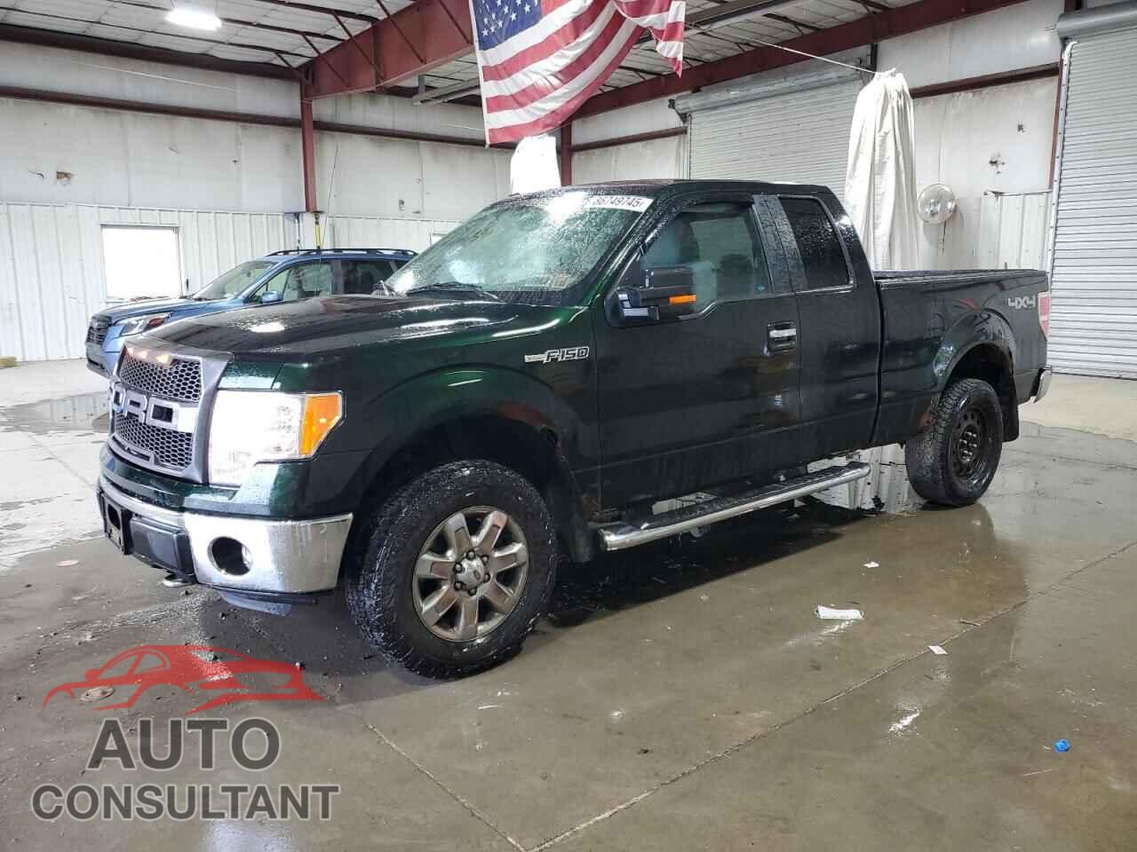 FORD F-150 2013 - 1FTFX1EF6DFC93379