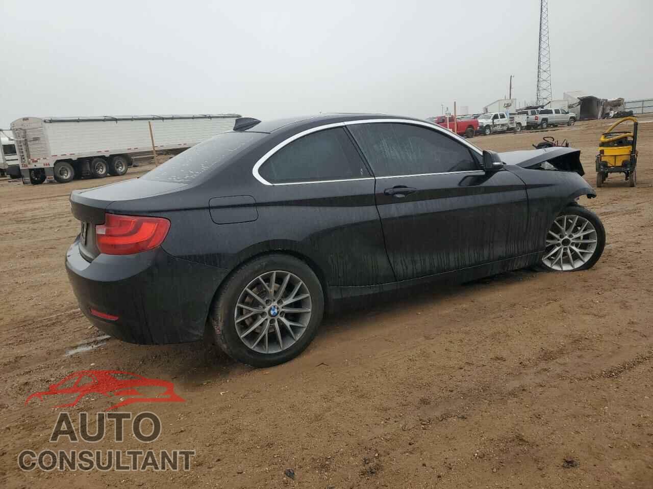 BMW 2 SERIES 2014 - WBA1F5C5XEVV99178