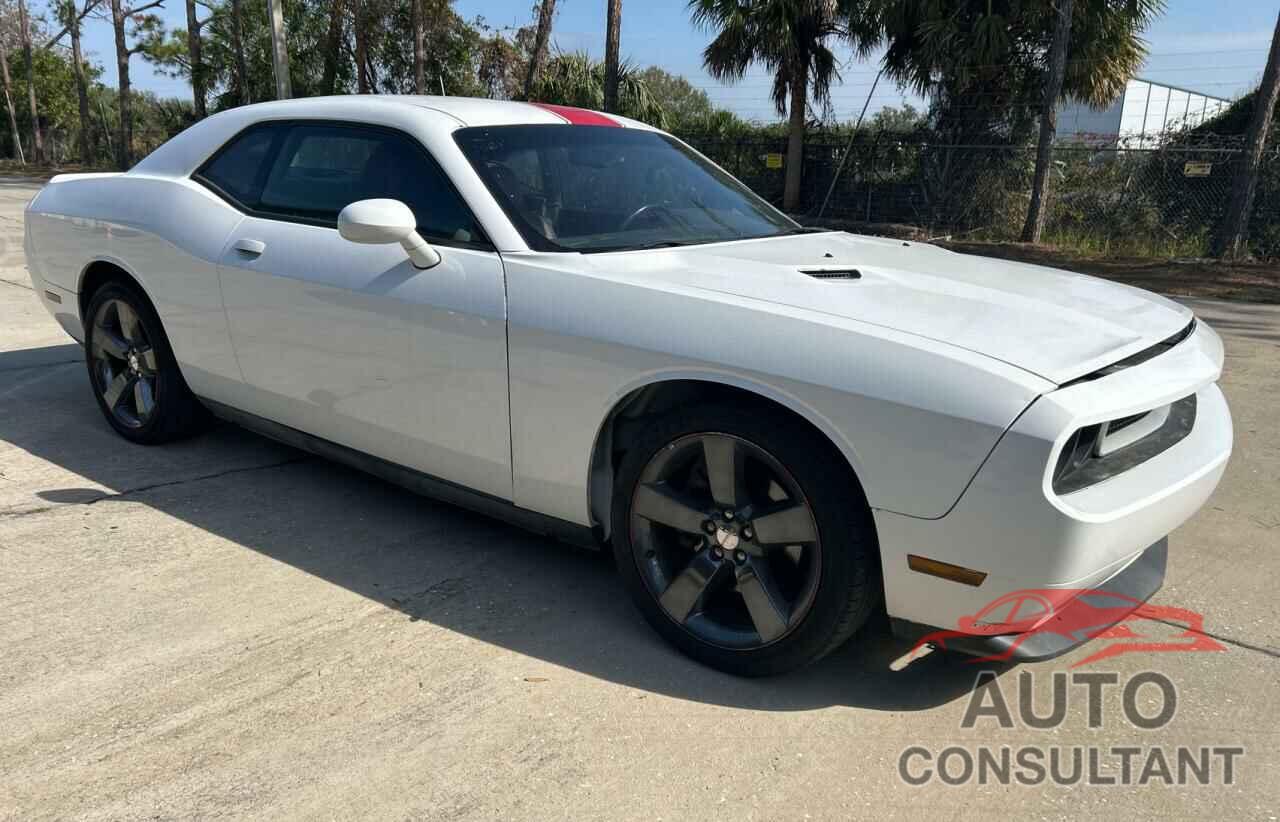 DODGE CHALLENGER 2013 - 2C3CDYAG3DH530786