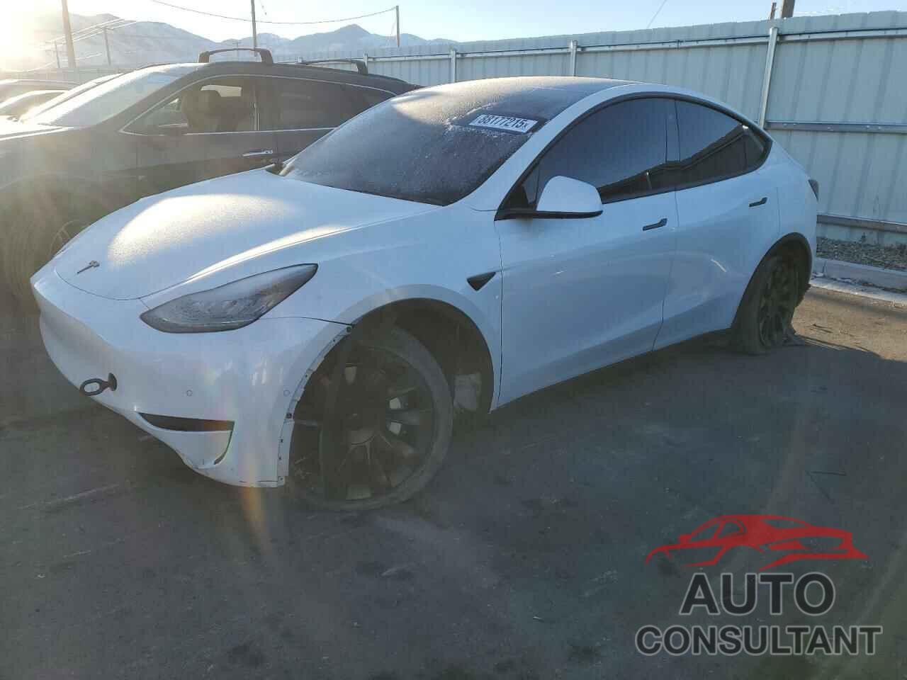 TESLA MODEL Y 2021 - 5YJYGDEE2MF061271
