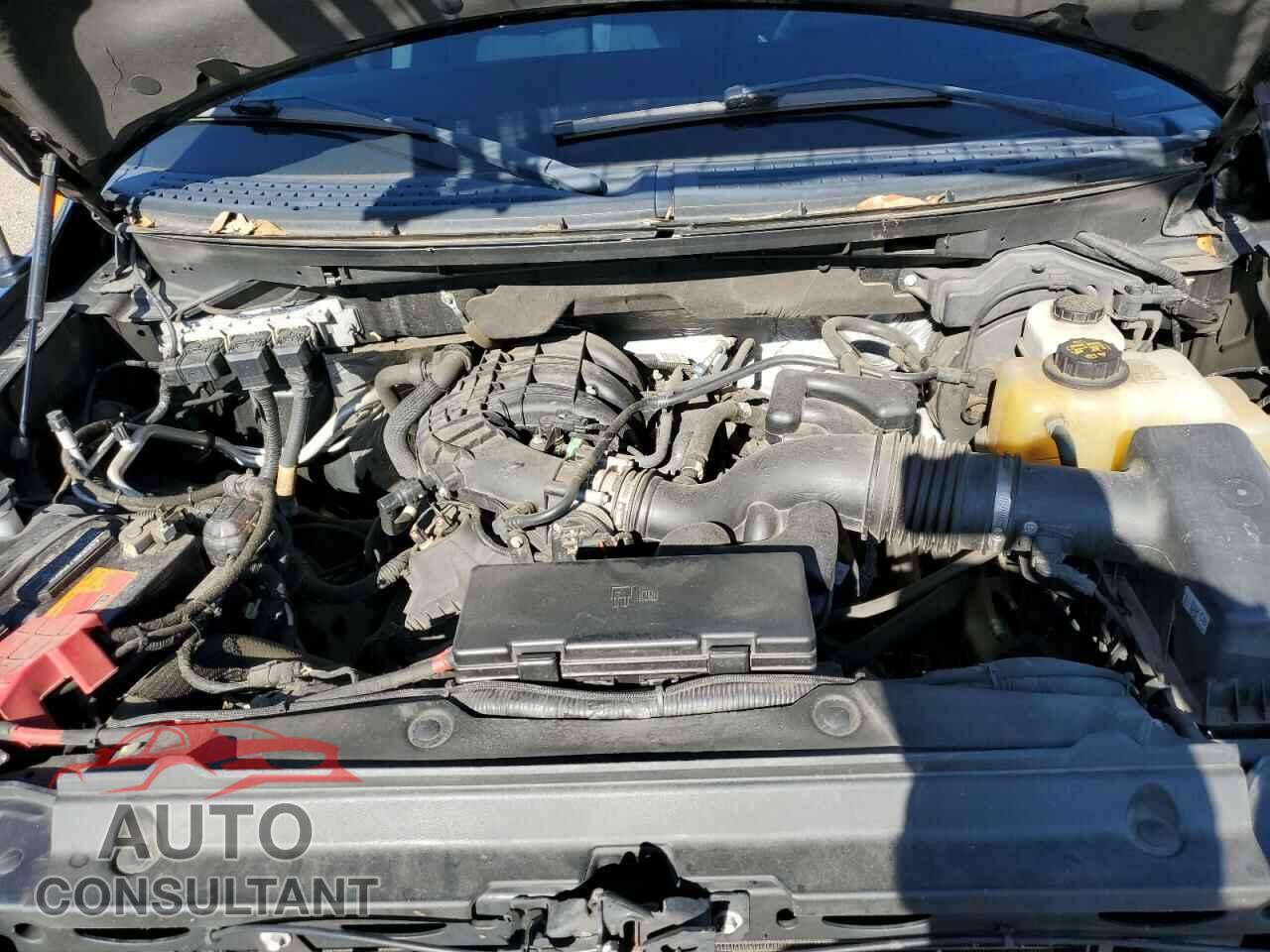 FORD F-150 2013 - 1FTEX1EM8DFD44259