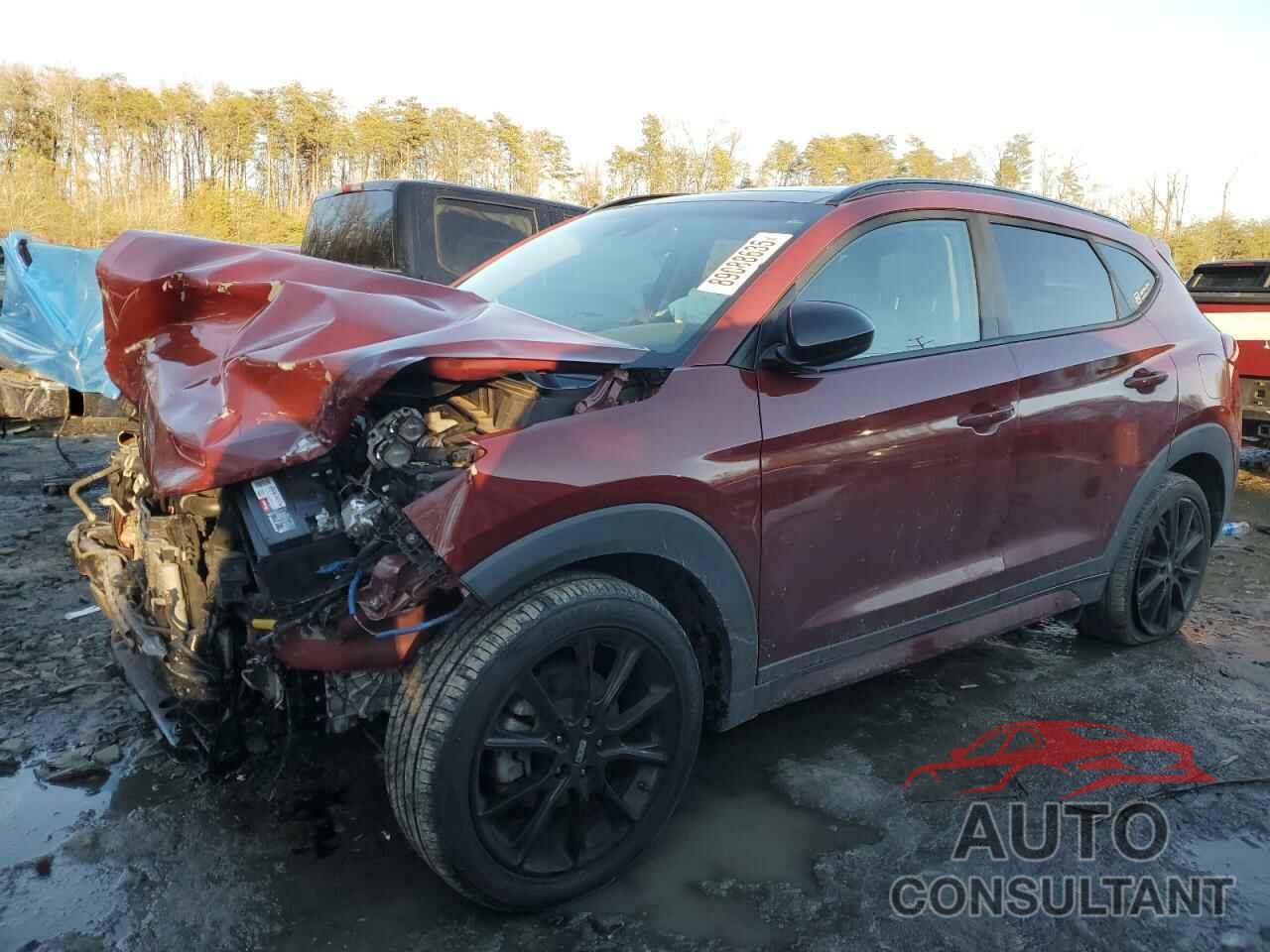 HYUNDAI TUCSON 2019 - KM8J33AL0KU001503