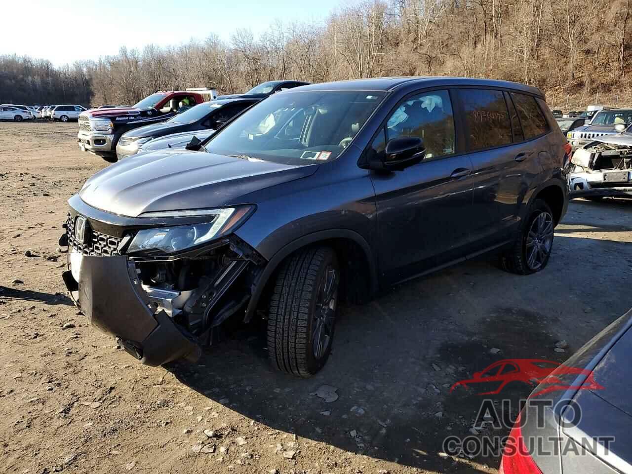 HONDA PASSPORT 2019 - 5FNYF8H50KB027705