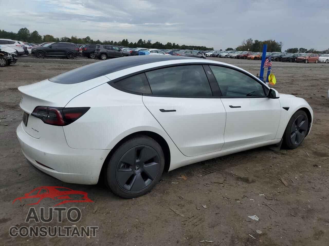 TESLA MODEL 3 2021 - 5YJ3E1EB8MF062431