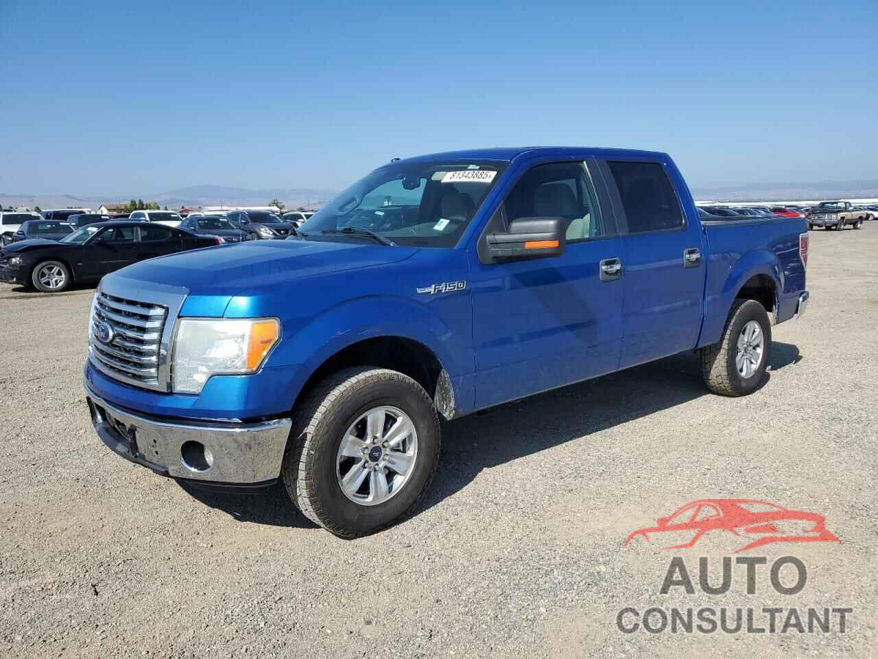 FORD F-150 2010 - 1FTFW1EV0AKB32605
