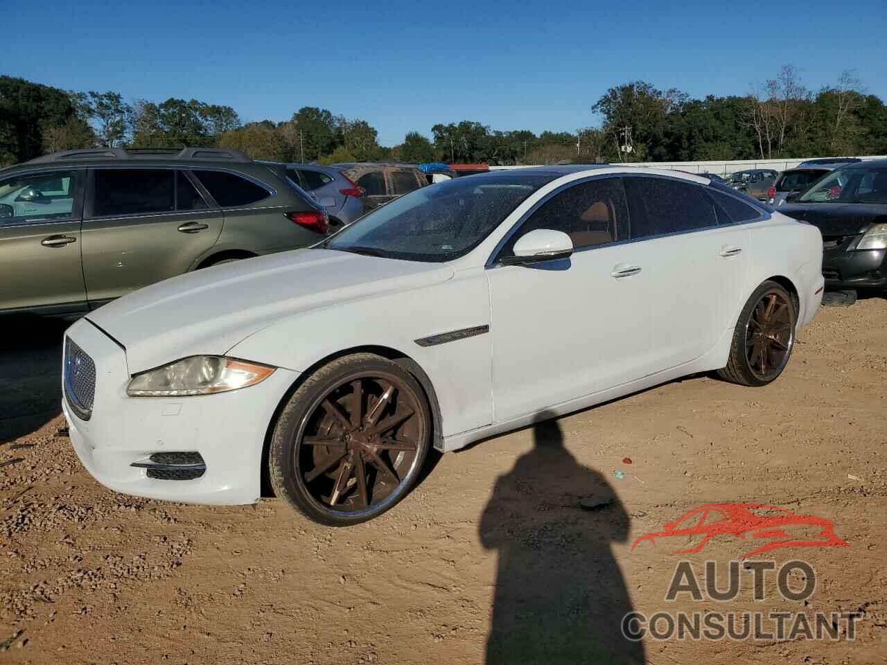 JAGUAR XJ 2013 - SAJWA1C7XD8V42463