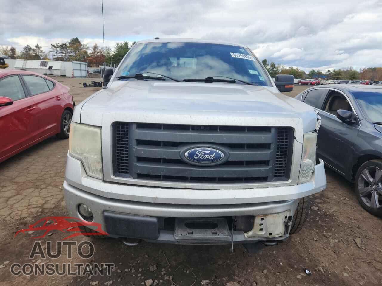 FORD F150 2010 - 1FTFW1EV2AFB03695