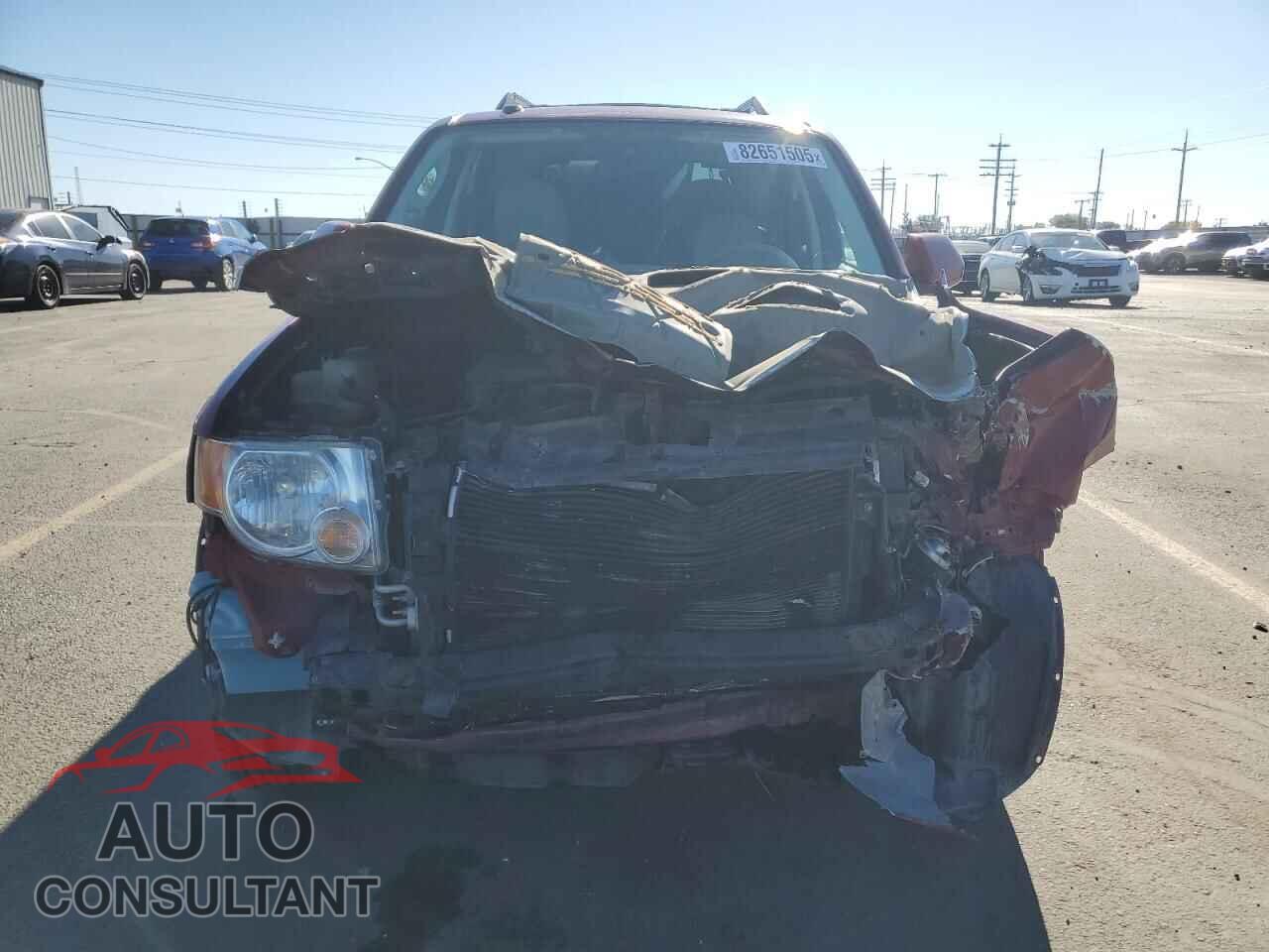 FORD ESCAPE 2010 - 1FMCU9EG6AKB02528