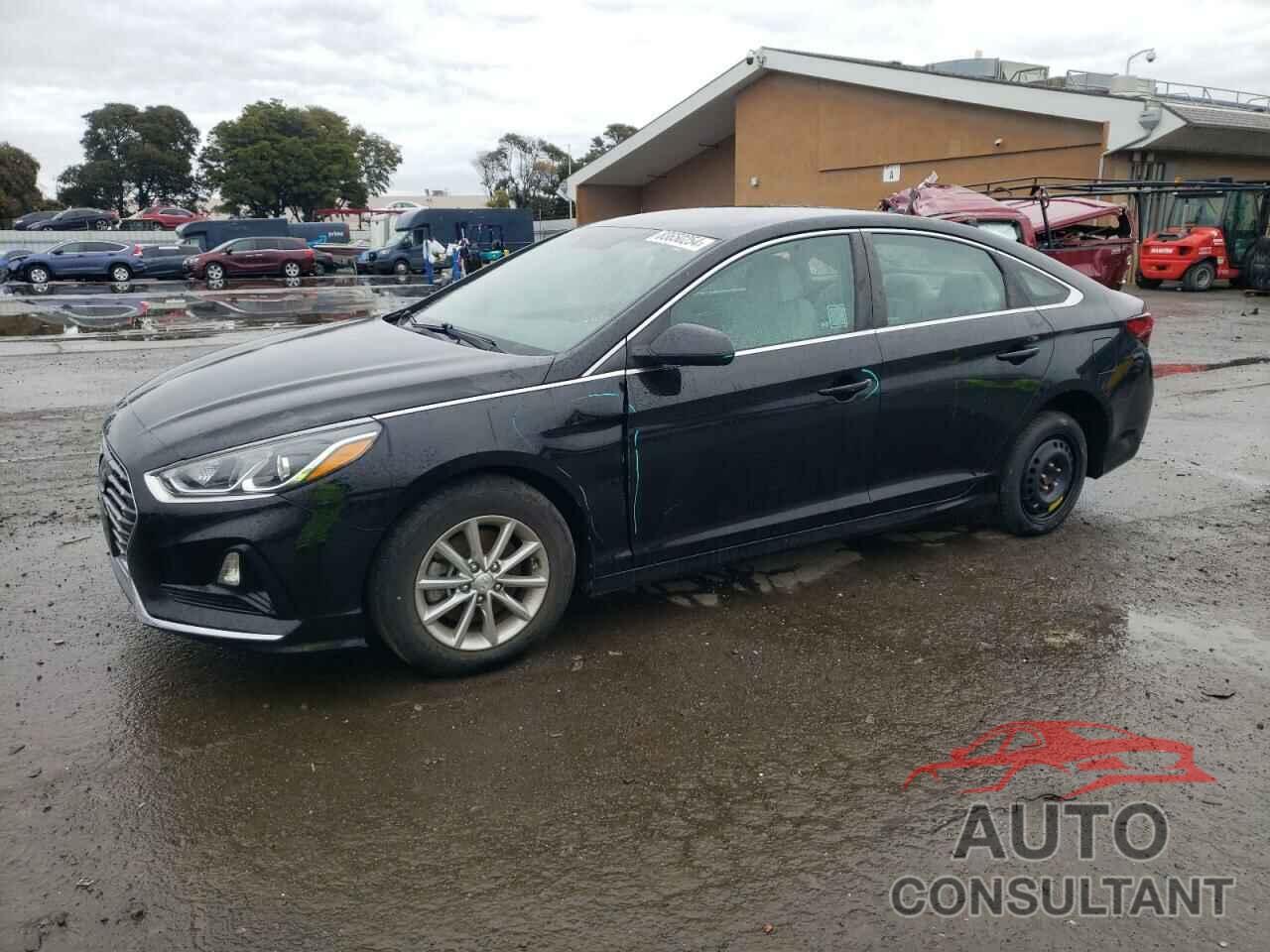 HYUNDAI SONATA 2019 - 5NPE24AF7KH744081