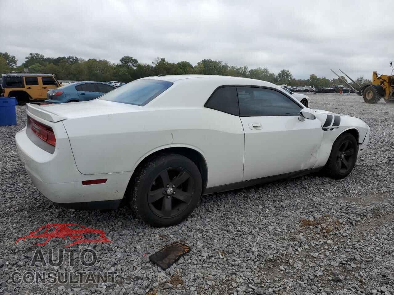 DODGE CHALLENGER 2010 - 2B3CJ4DV1AH314276