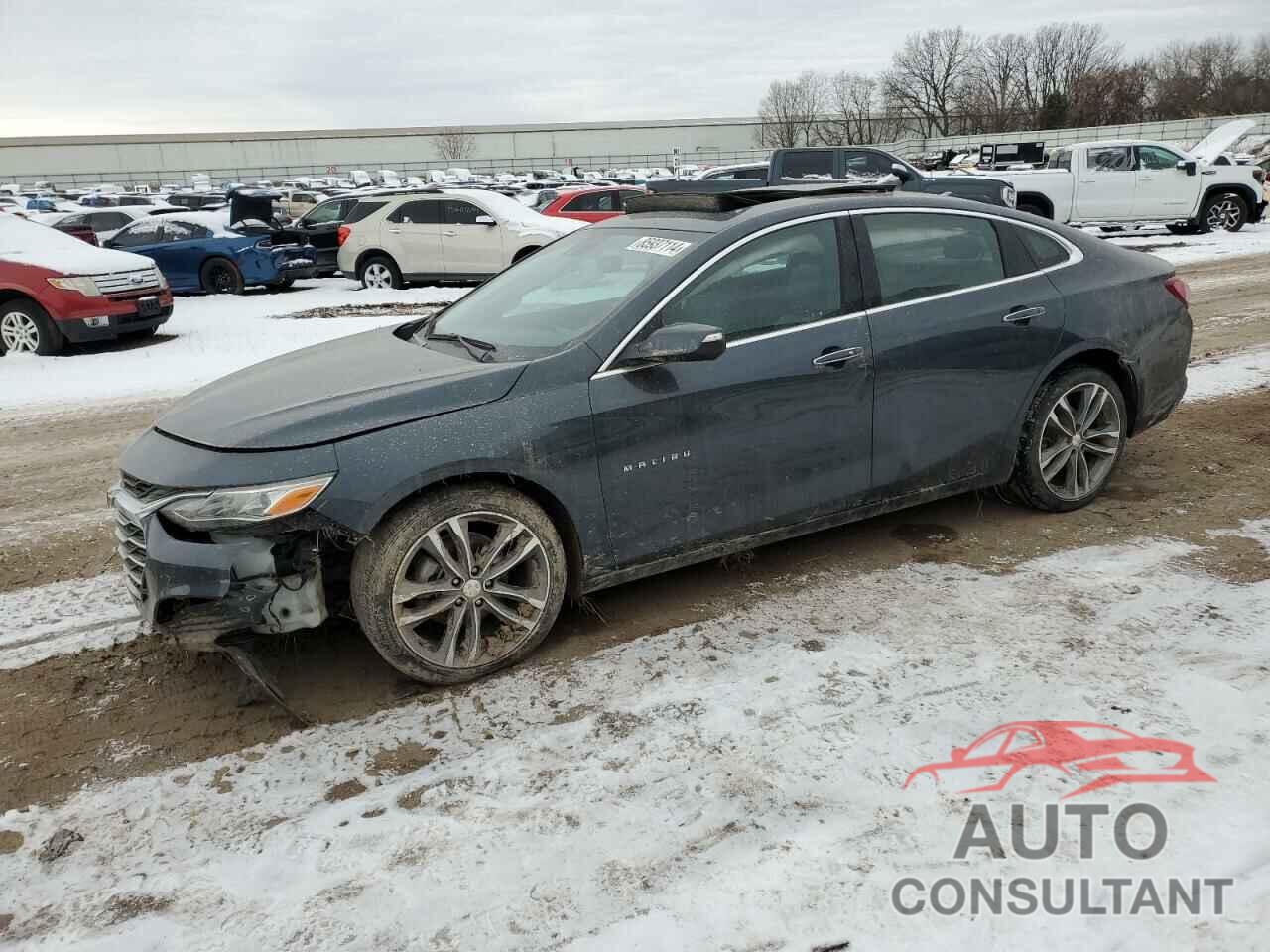 CHEVROLET MALIBU 2021 - 1G1ZE5SX5MF021390