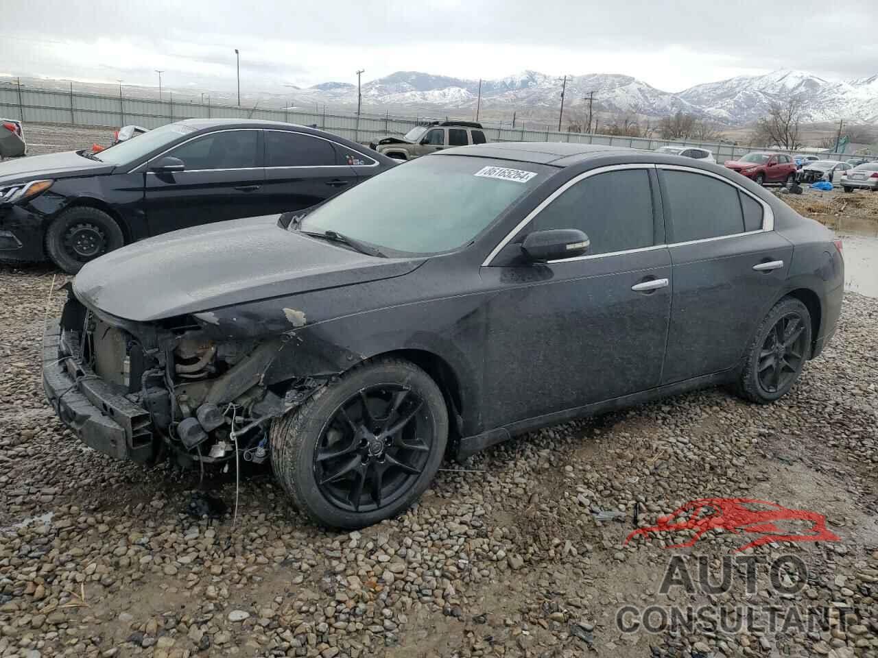 NISSAN MAXIMA 2009 - 1N4AA51E69C859118