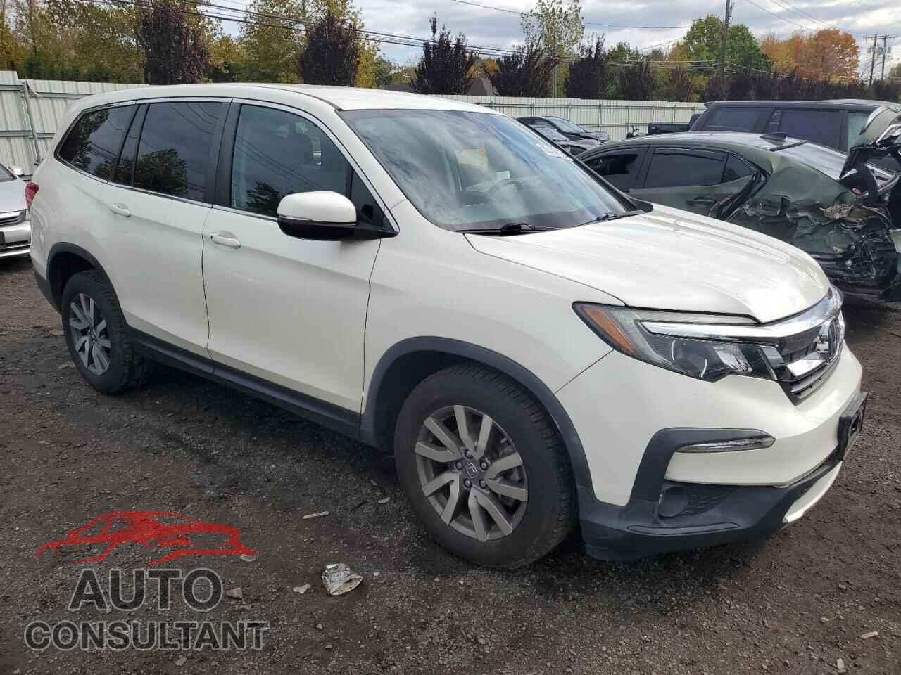 HONDA PILOT 2019 - 5FNYF6H33KB050415