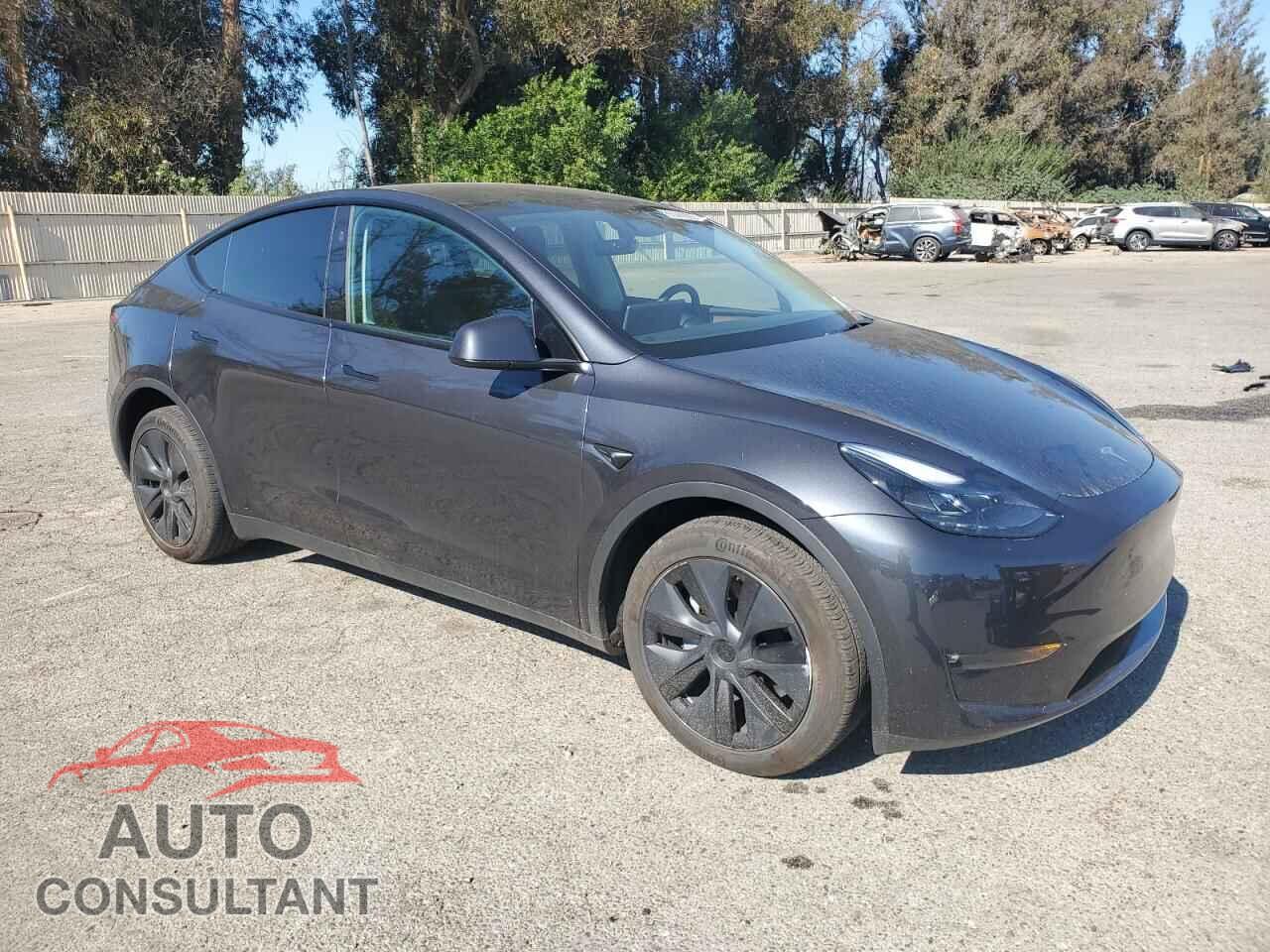 TESLA MODEL Y 2024 - 7SAYGDEE1RF198826