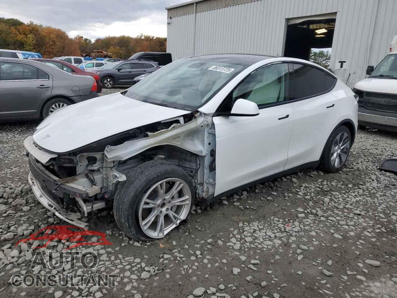 TESLA MODEL Y 2021 - 5YJYGDEE8MF063218