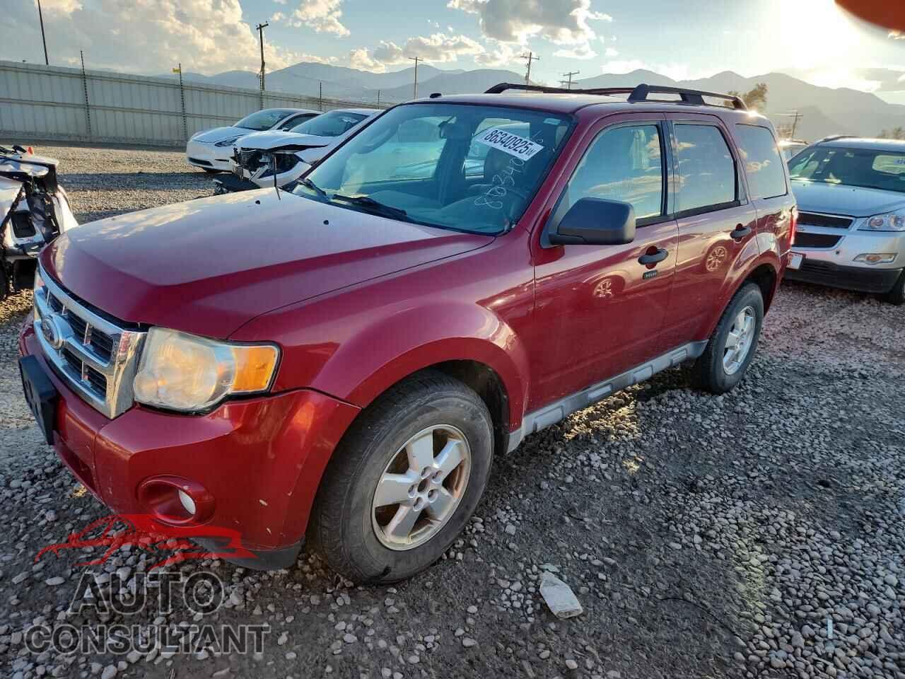 FORD ESCAPE 2010 - 1FMCU9D75AKB95219