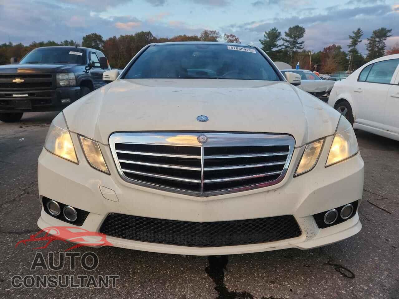 MERCEDES-BENZ E-CLASS 2010 - WDDHF7CB7AA224049