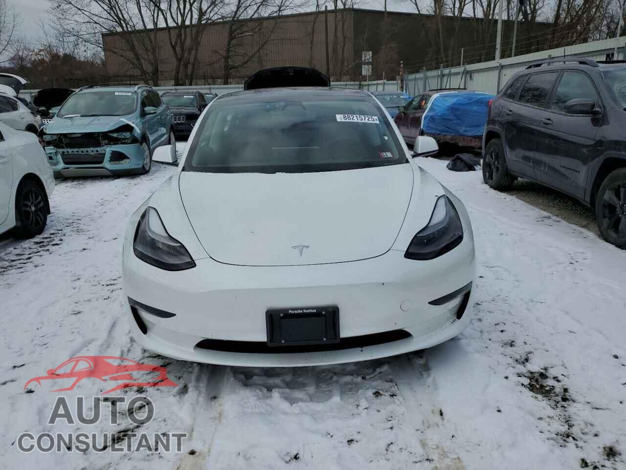 TESLA MODEL 3 2021 - 5YJ3E1EA3MF923487