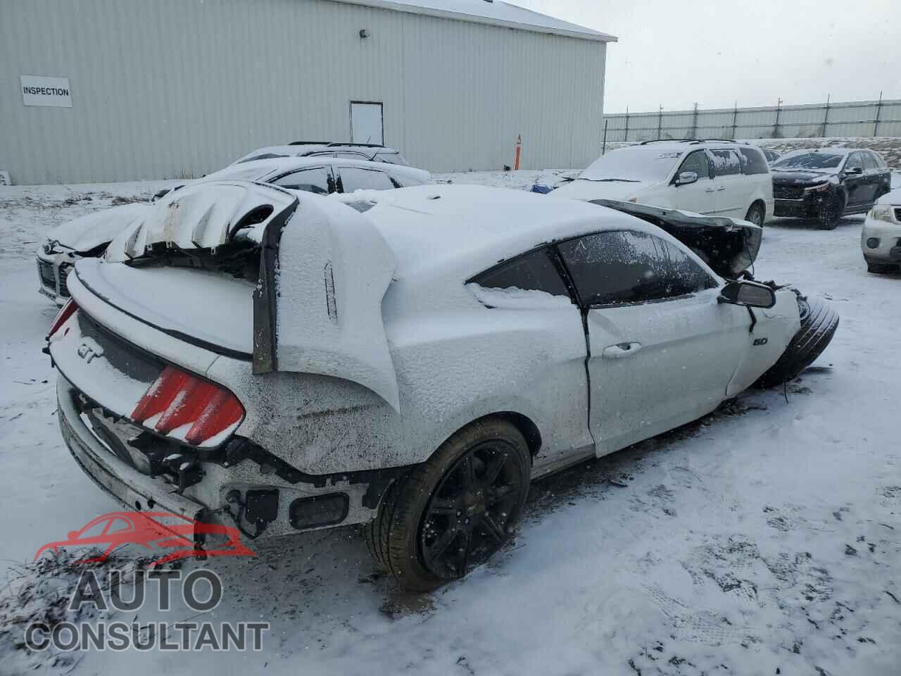 FORD MUSTANG 2016 - 1FA6P8CF5G5262037