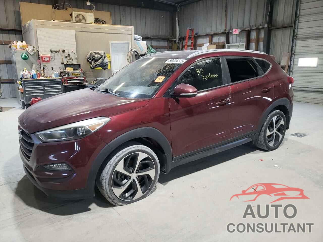 HYUNDAI TUCSON 2016 - KM8J33A28GU225374