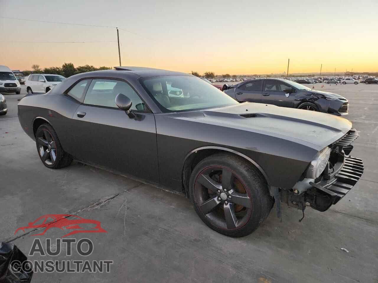 DODGE CHALLENGER 2013 - 2C3CDYBT7DH674305