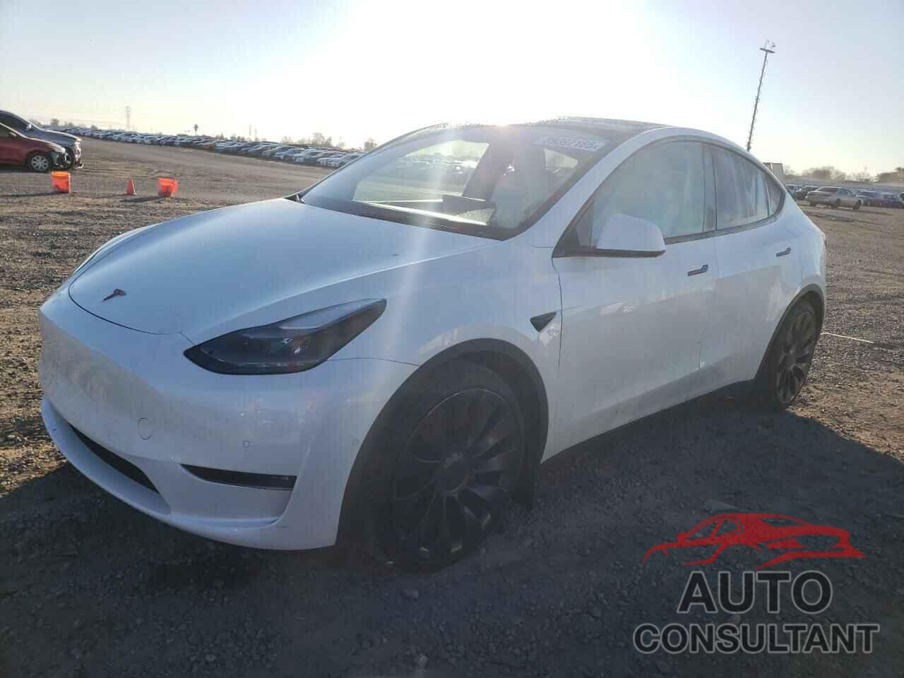 TESLA MODEL Y 2022 - 7SAYGDEF6NF407299