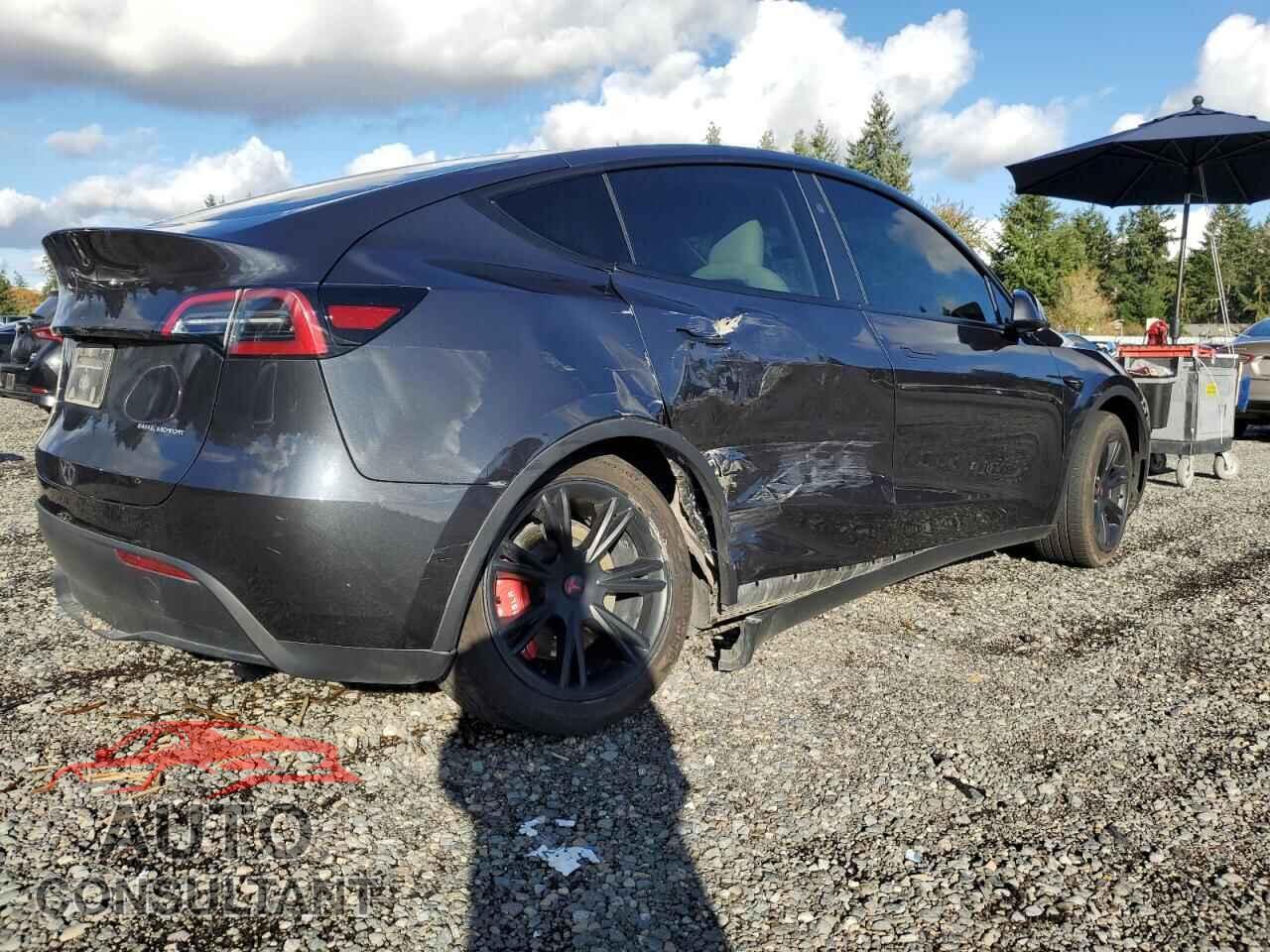 TESLA MODEL Y 2024 - 7SAYGAEE1RF163329