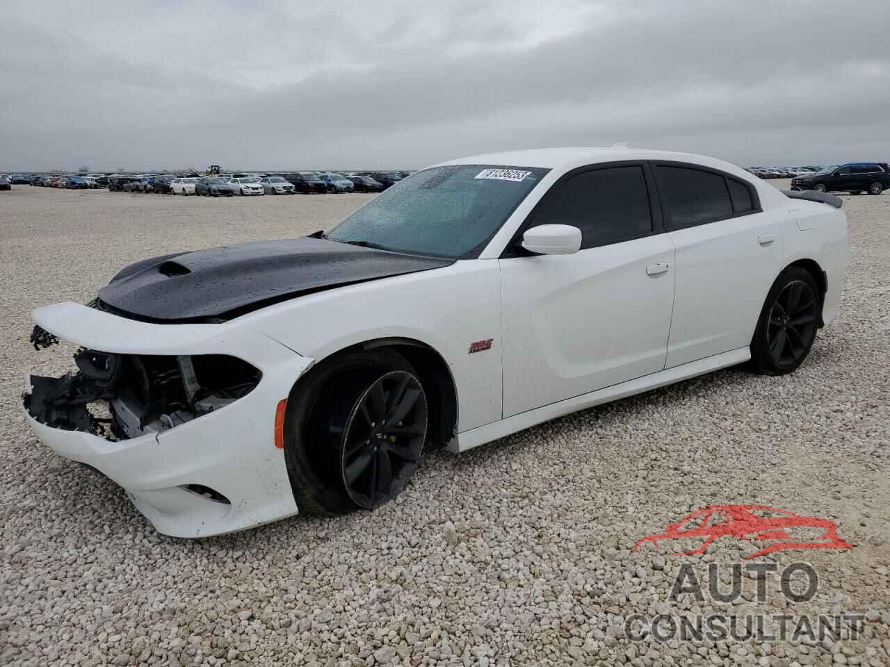 DODGE CHARGER 2019 - 2C3CDXGJ6KH716381