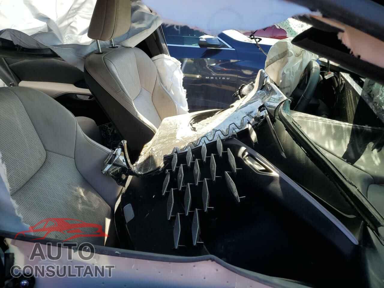 LEXUS RX350 2023 - 2T2BAMCA5PC018538