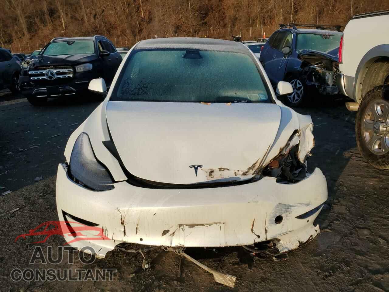 TESLA MODEL 3 2022 - 5YJ3E1EB8NF266132