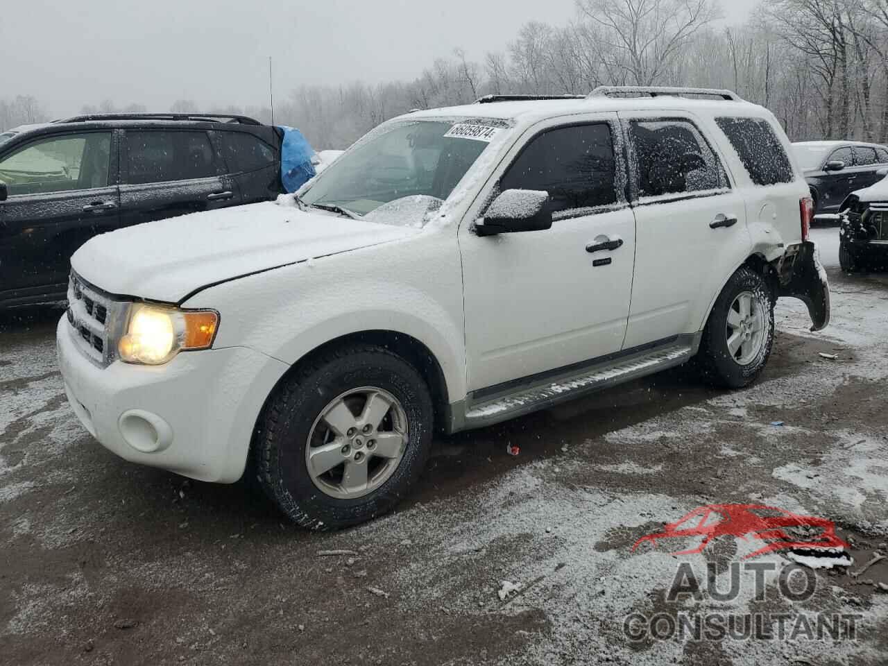 FORD ESCAPE 2010 - 1FMCU9DG9AKC35172