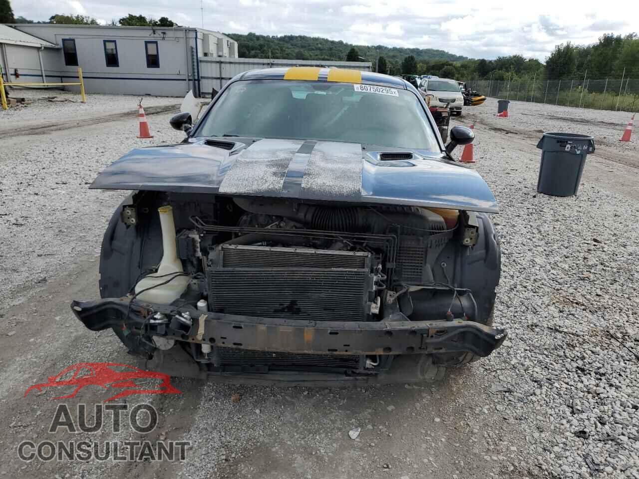 DODGE CHALLENGER 2013 - 2C3CDYAG8DH511604