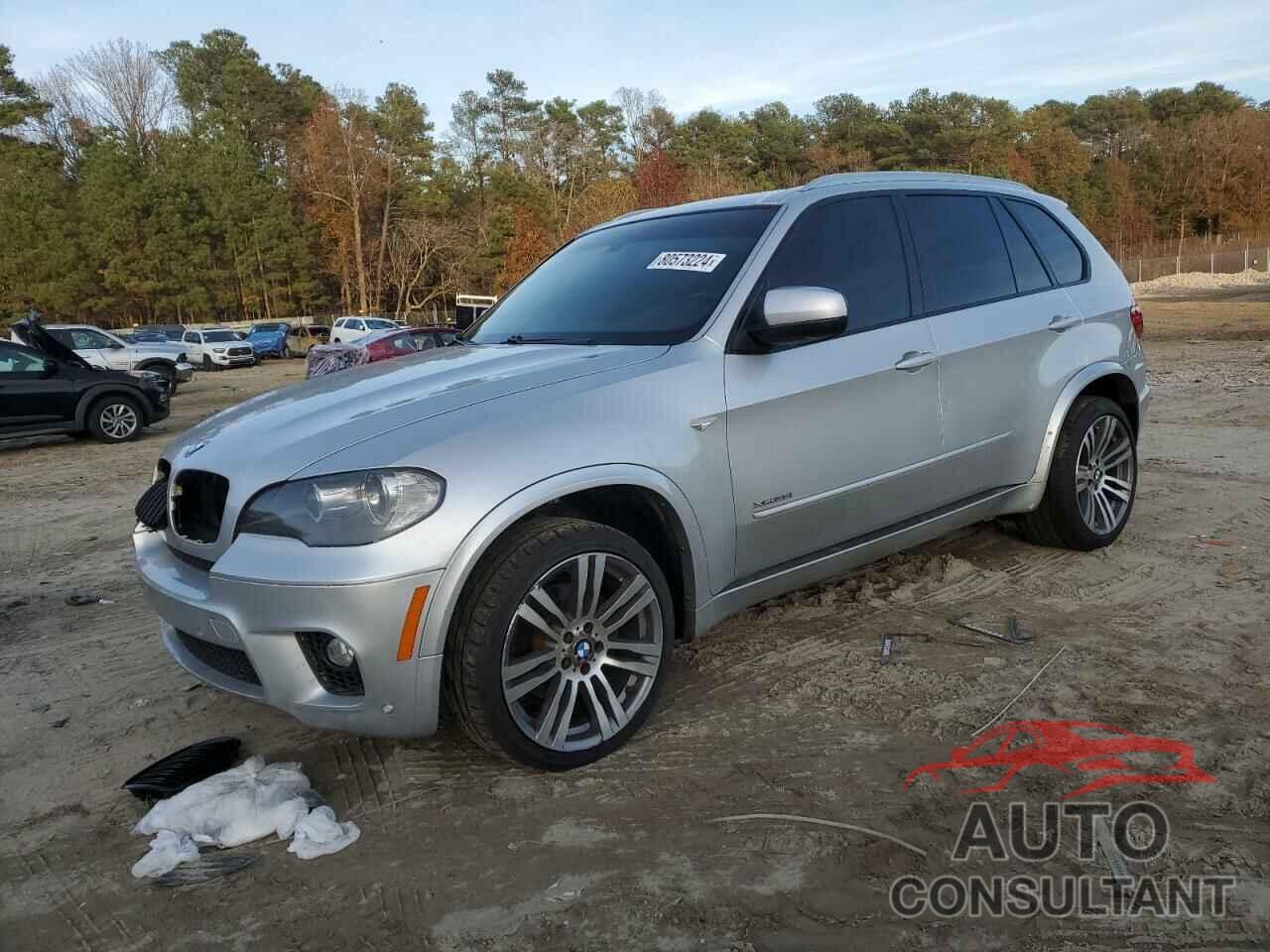 BMW X5 2011 - 5UXZV4C57BL411368