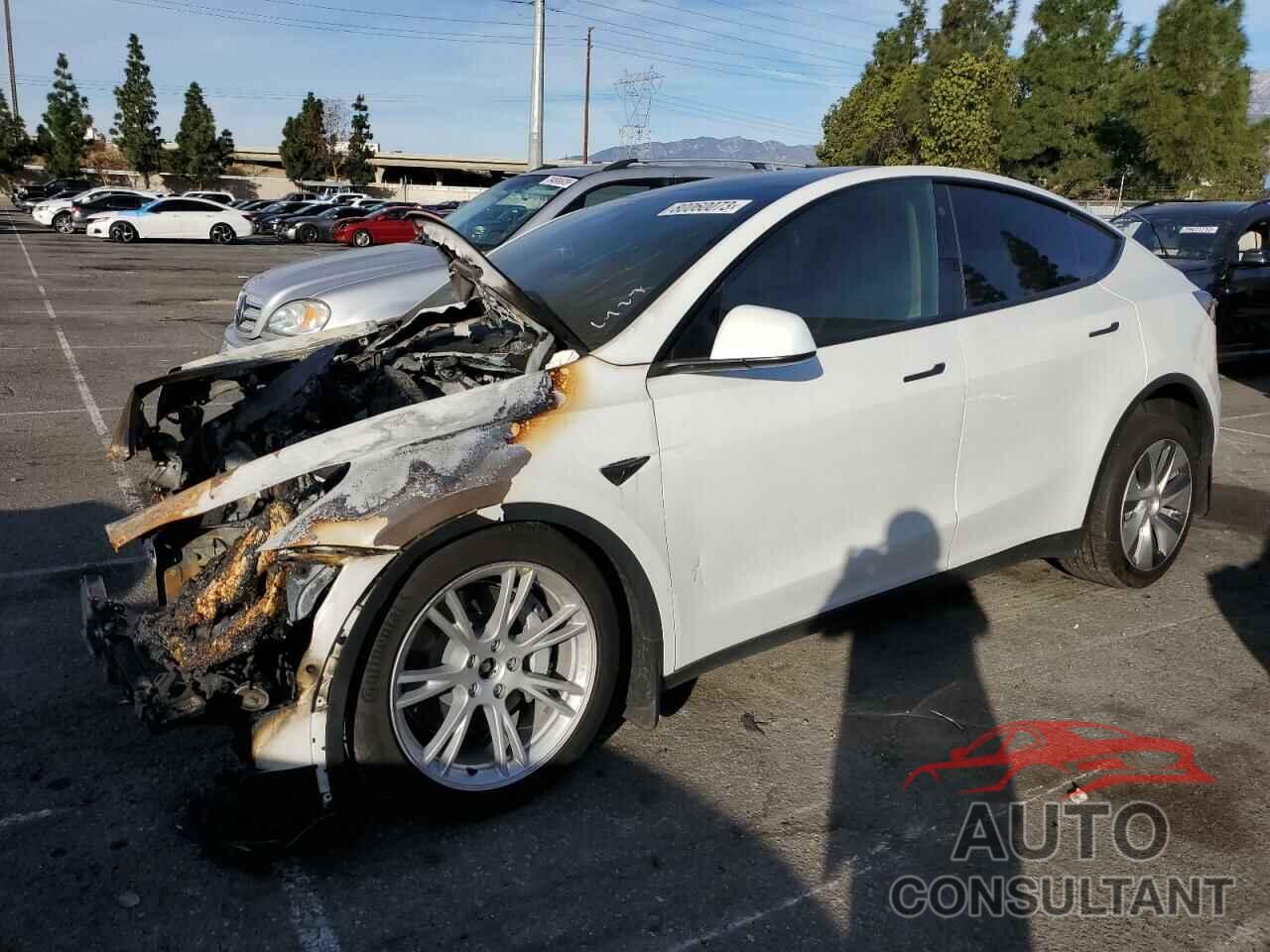 TESLA MODEL Y 2022 - 7SAYGDEE0NF411887