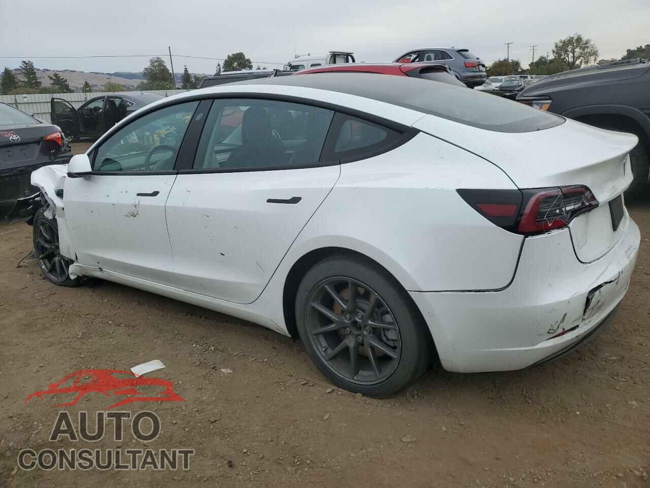 TESLA MODEL 3 2021 - 5YJ3E1EA3MF030252