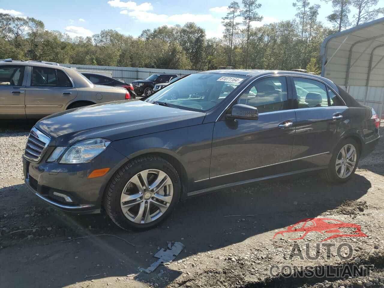 MERCEDES-BENZ E-CLASS 2010 - WDDHF7CB4AA213798