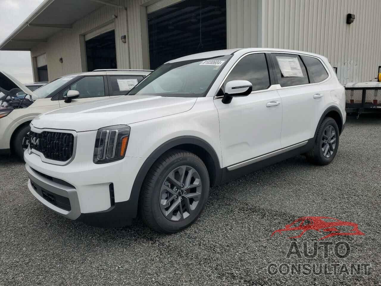 KIA TELLURIDE 2024 - 5XYP2DGC0RG461190