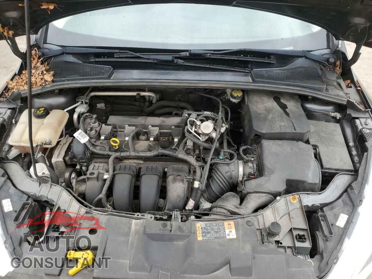 FORD FOCUS 2016 - 1FADP3F24GL382801