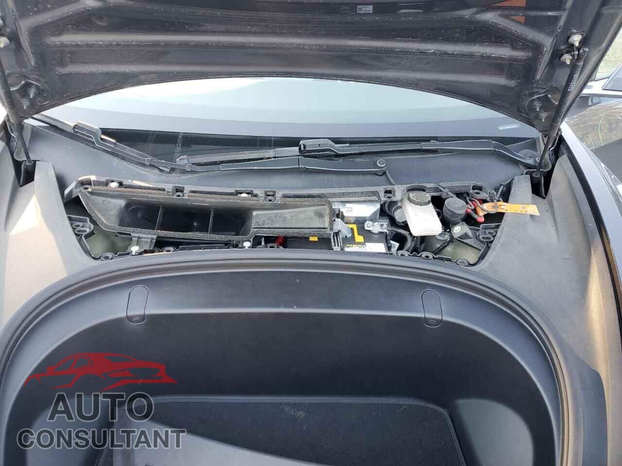 TESLA MODEL 3 2018 - 5YJ3E1EB8JF183956